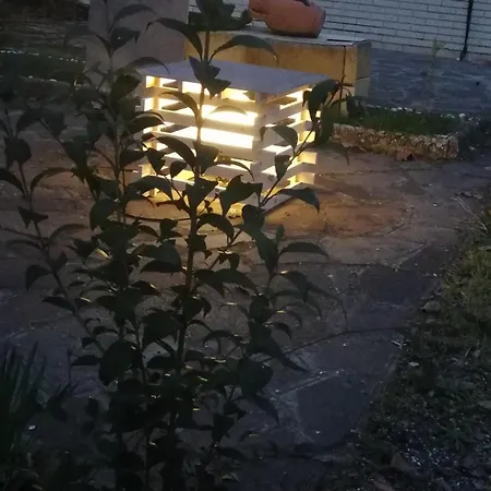 Отель Oliver 3*